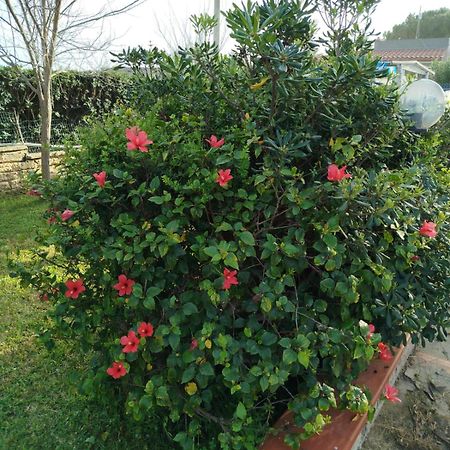 Holiday Home Riserva Marina Protetta Syracuse Buitenkant foto