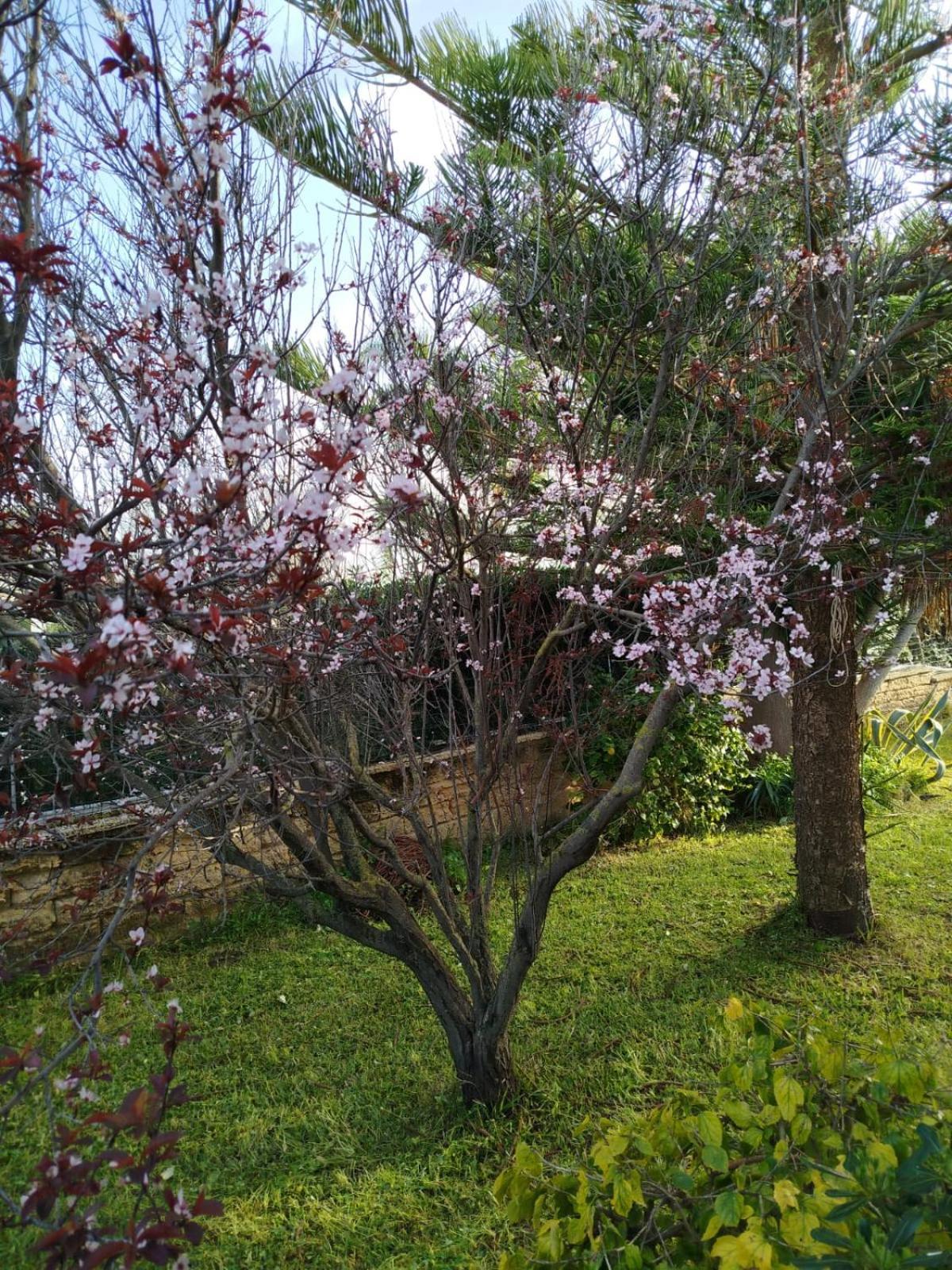 Holiday Home Riserva Marina Protetta Syracuse Buitenkant foto